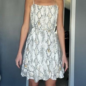 Express snake skin dress